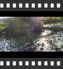 ../pictures/Beaver Marsh/DSCF9061_1_small_icon.jpg